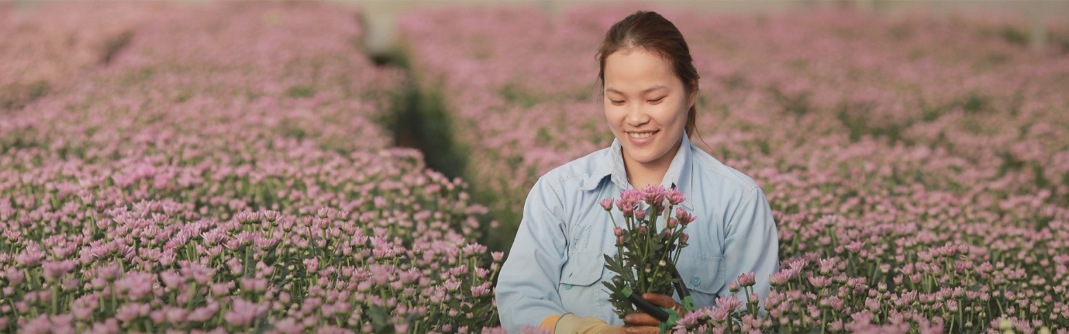 Quản lý cửa hàng hoa tươi cao cấp