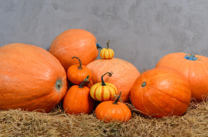 Tạo xu hướng trang trí Halloween bằng Pumpkin - Bí Ngô