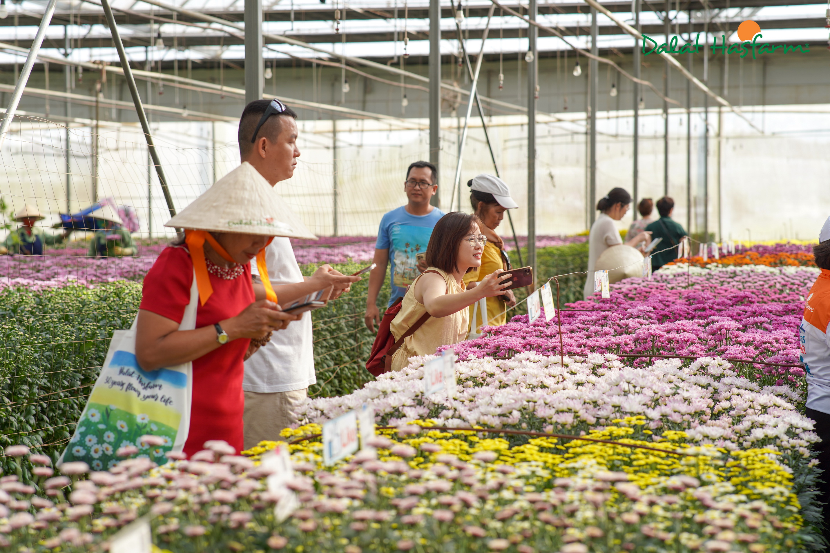 Một không gian ngập tràn sắc màu của những bông hoa tươi thắm đã mang đến cho khách hàng những trải nghiệm đáng nhớ