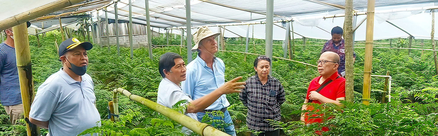 Hasfarm Holdings continues to expand production and business in Indonesia