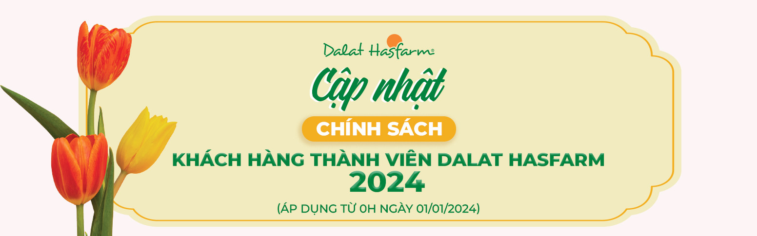 Chính sách chương trình Khách Hàng Thành Viên 2024