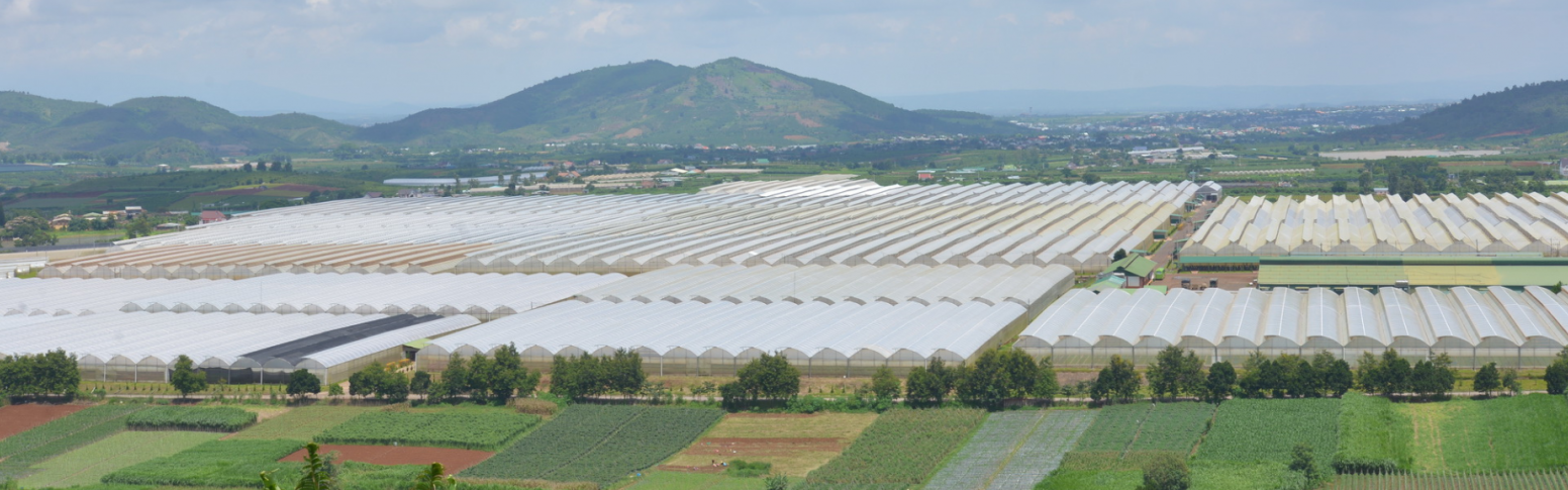 Dalat Hasfarm Shines Through the Lens of “Customer Is King” Show