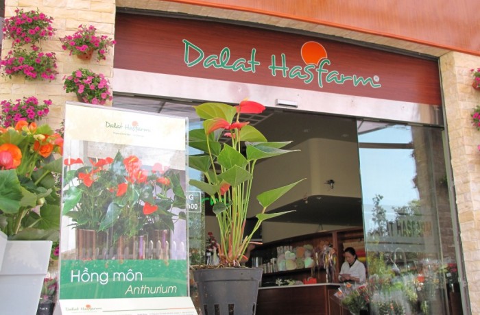 Dalat Hasfarm invest new showroom in centre of Dalat city