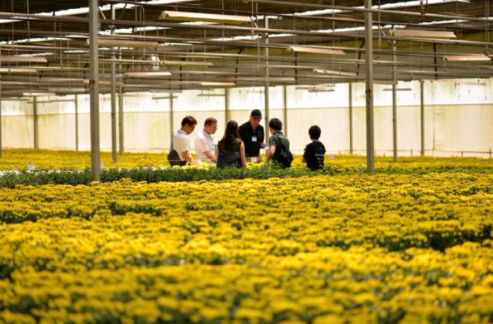 Press Release: Dalat Hasfarm Flower Trials 2016 - Inspiration and Innovation