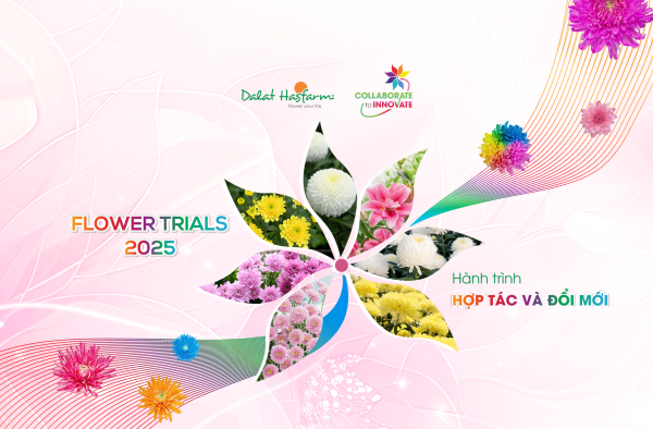 DALAT HASFARM FLOWER TRIALS 2025 – HOUSE OF THE FUTURE