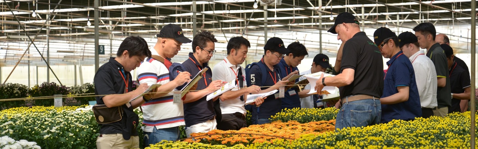 Press Release Dalat Hasfarm Flower Trials 2017 - 3rd Edition