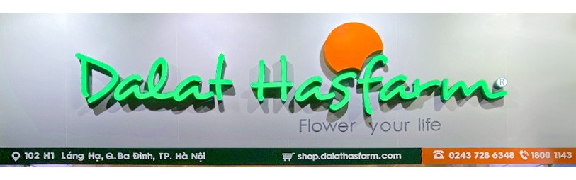 Dalat Hasfarm khai trương cửa hàng mới tại Hà Nội