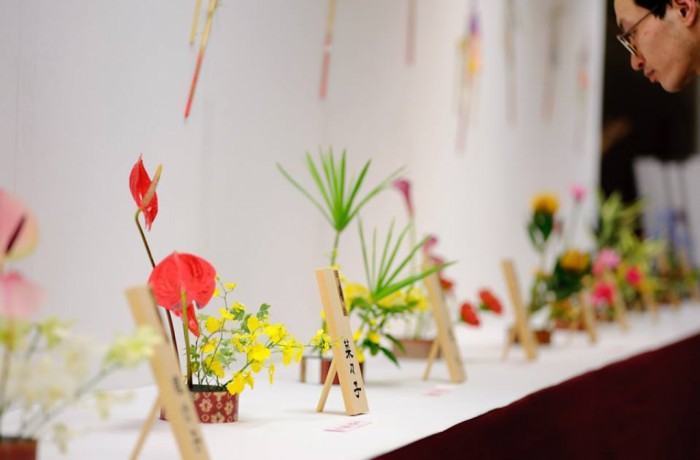 TCBC - Tinh túy nghệ thuật cắm hoa Nhật Bản