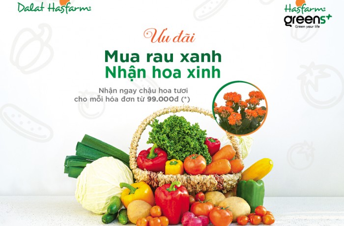 Hasfarm Greens+ triển khai chương trình “Mua rau xanh, nhận hoa xinh” tại Hà Nội