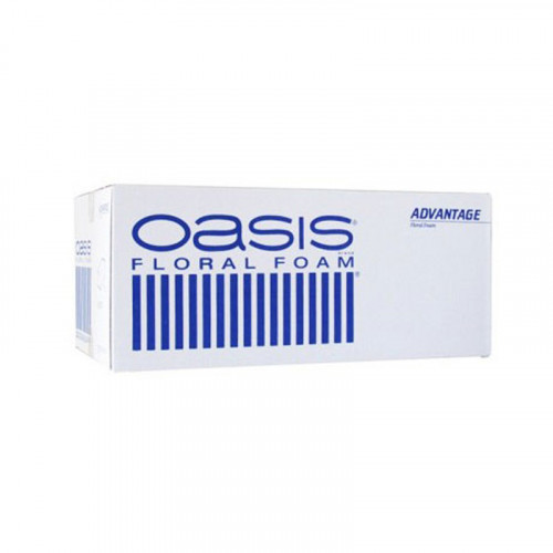 OASIS Advantage 31